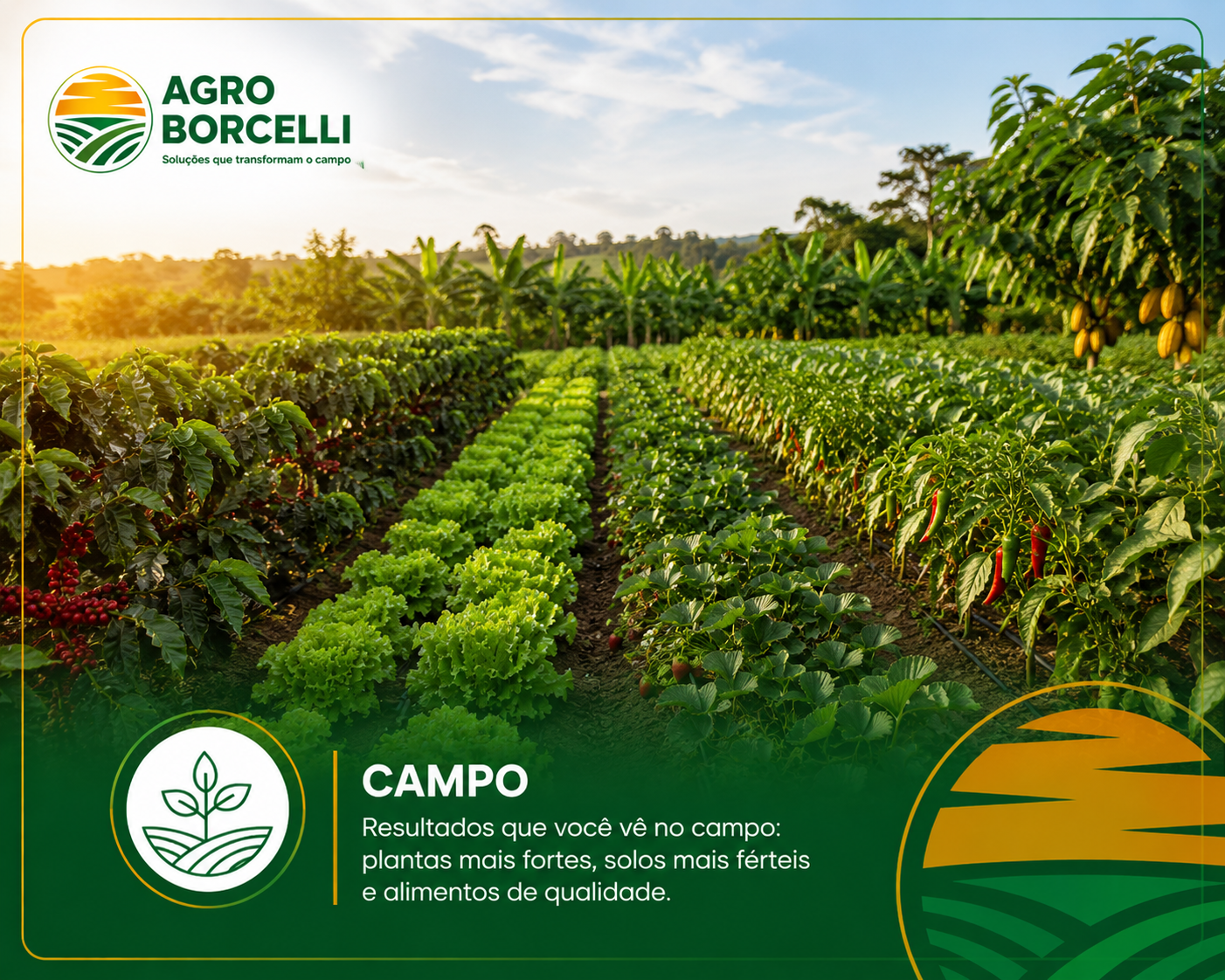 Campo